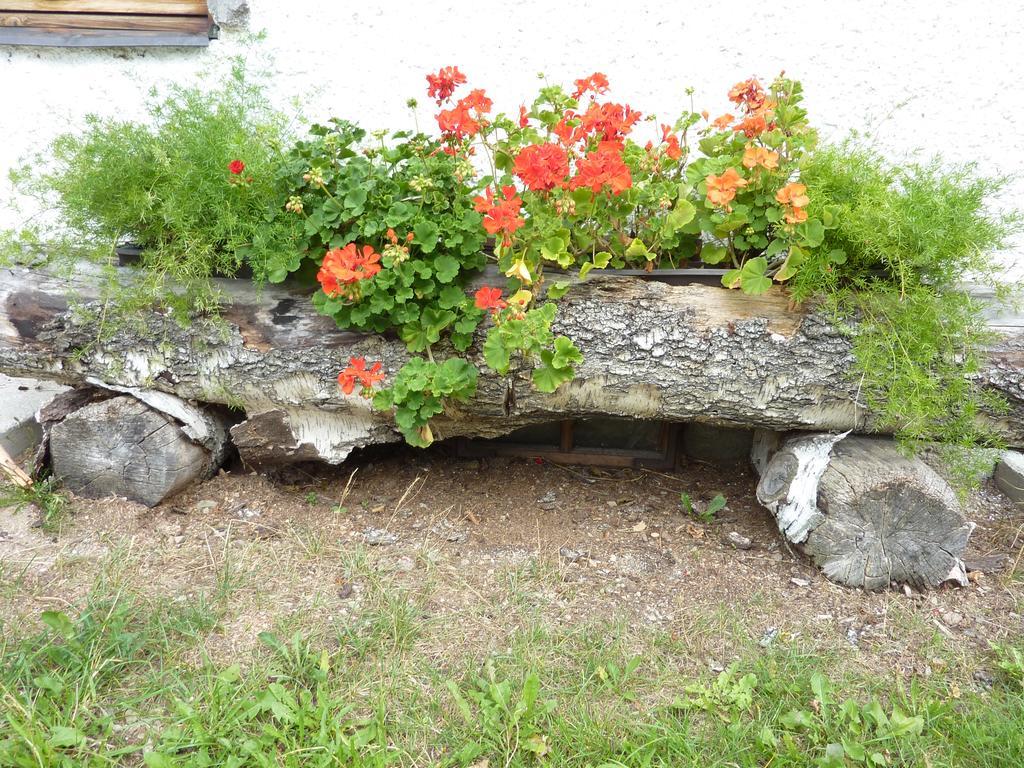 Bio-Bauernhof Rettenbachgut Werfen Eksteriør bilde